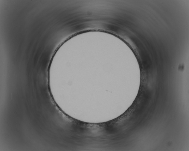 X0000091540807200708241732