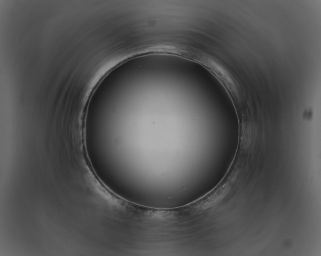 X0000091540808200708241732
