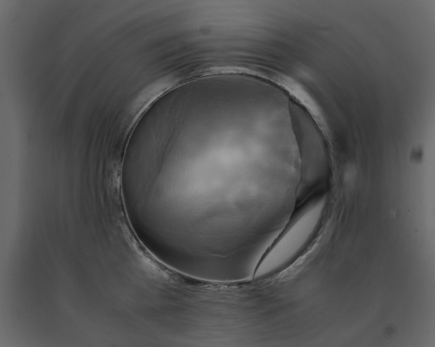 X0000091540809200708241732