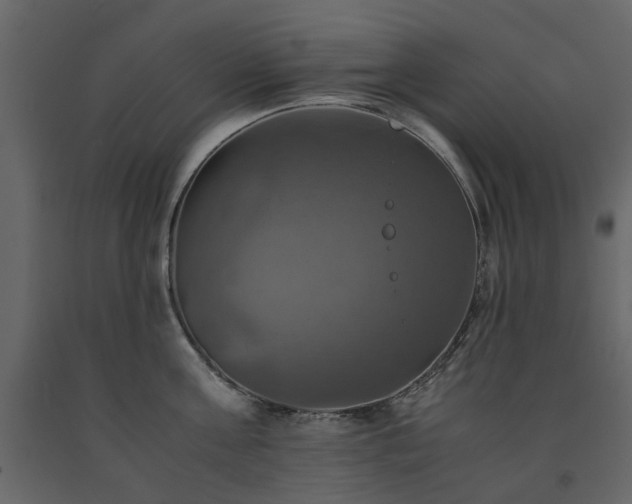 X0000091540811200708241732
