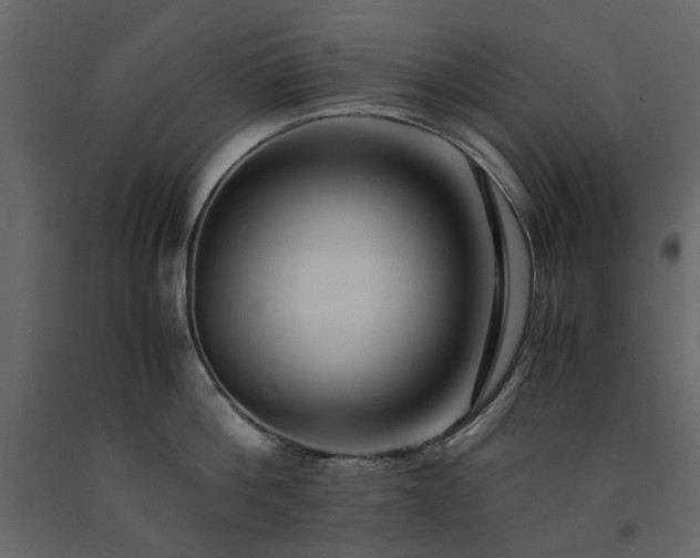 X0000091540812200708241732