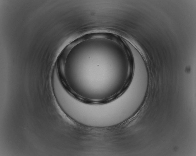 X0000091540813200708241732
