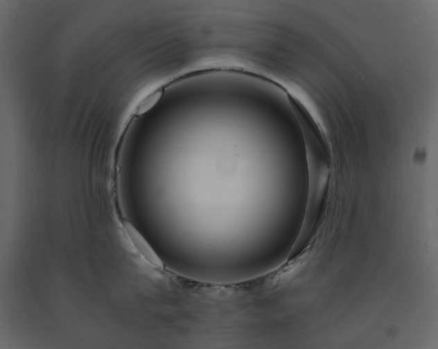 X0000091540815200708241732