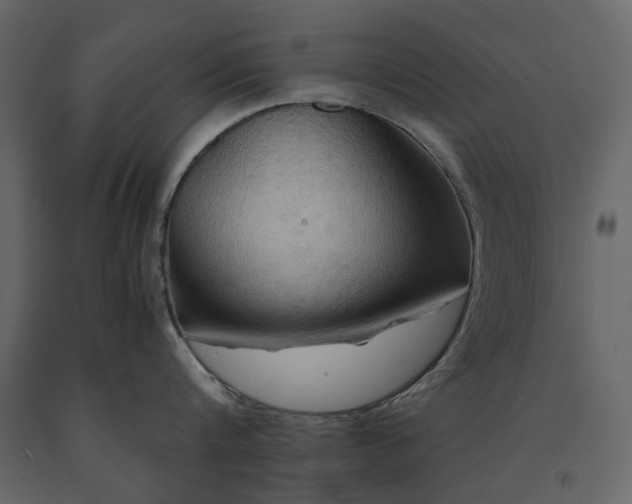 X0000091540816200708241732