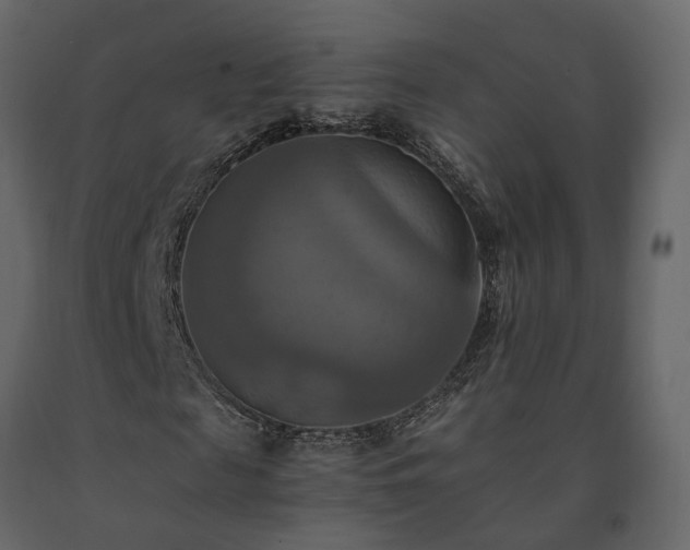 X0000091540817200708241731