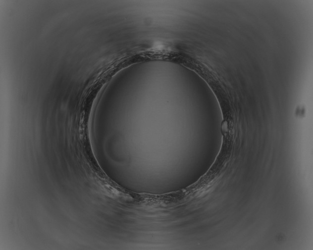 X0000091540818200708241731