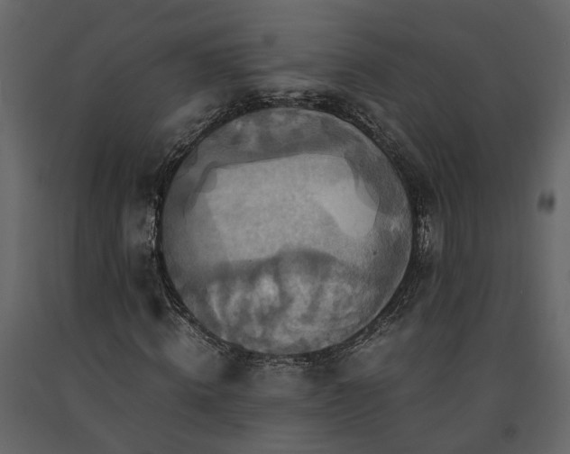 X0000091540820200708241732