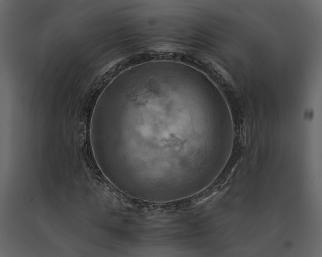 X0000091540821200708241732