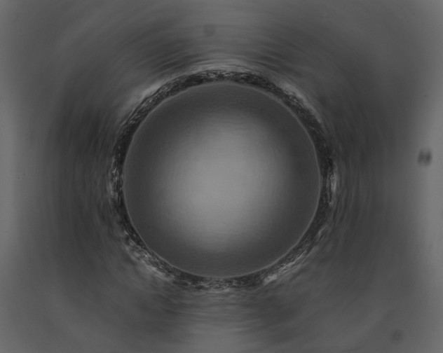 X0000091540822200708241732