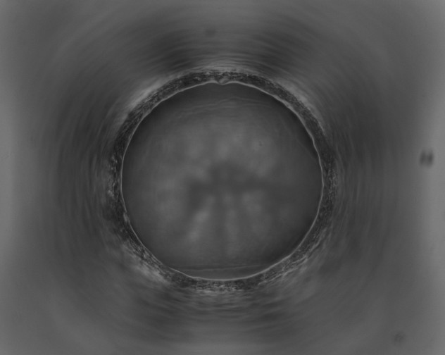 X0000091540823200708241732