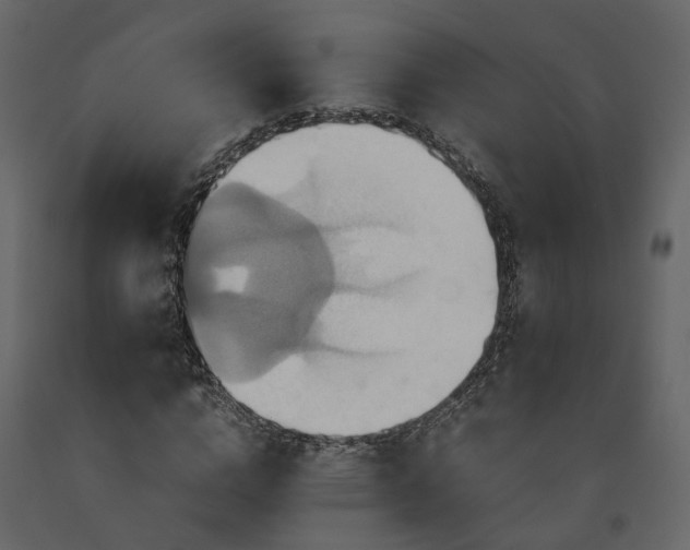 X0000091540824200708241732