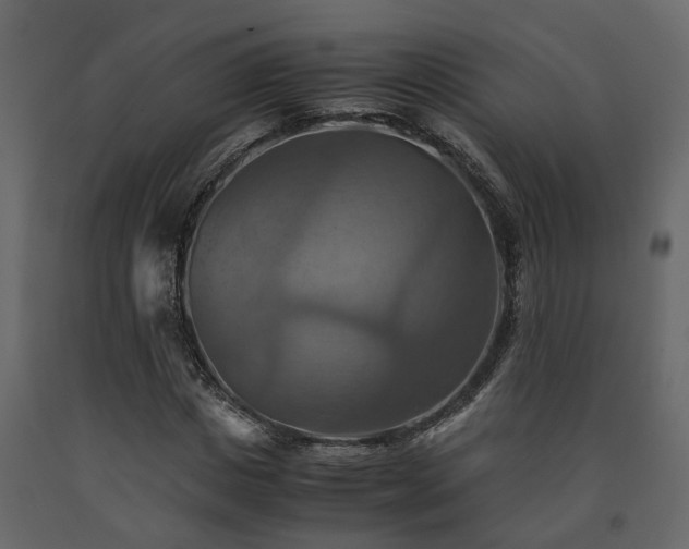 X0000091540825200708241732