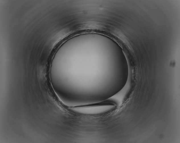 X0000091540826200708241732