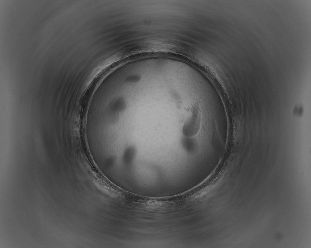 X0000091540827200708241732