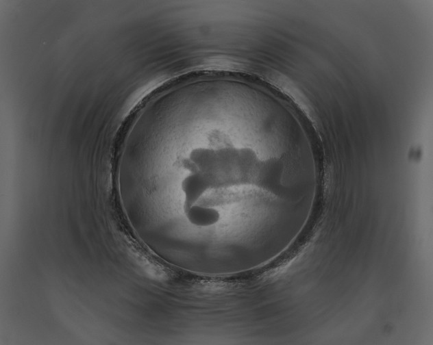 X0000091540829200708241732