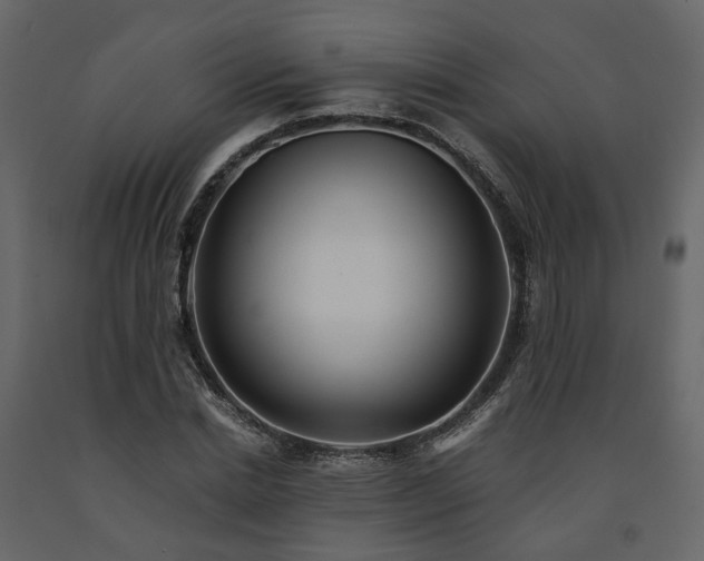 X0000091540830200708241732
