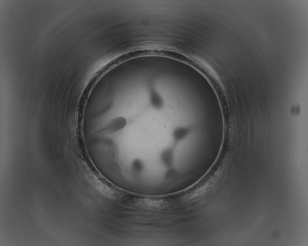 X0000091540831200708241732