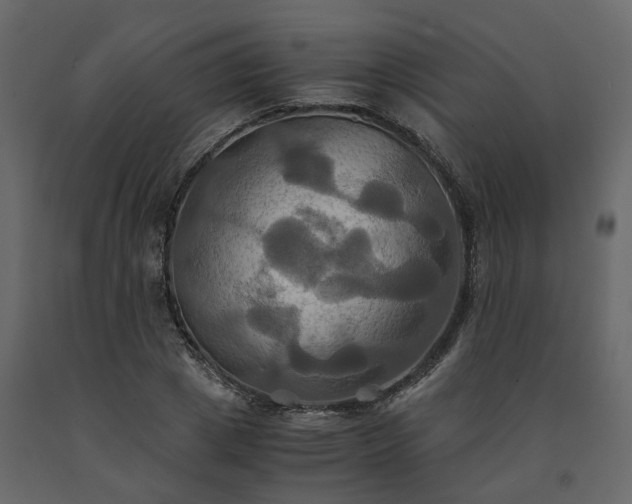 X0000091540833200708241732