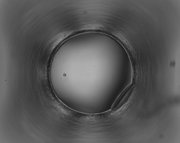X0000091540834200708241732