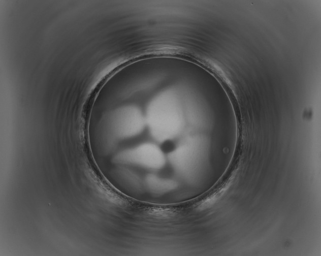 X0000091540835200708241732