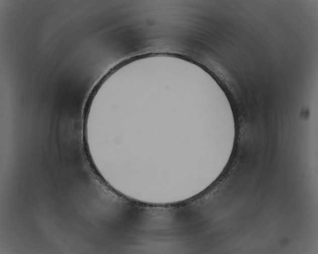 X0000091540836200708241732
