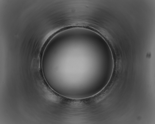 X0000091540838200708241732