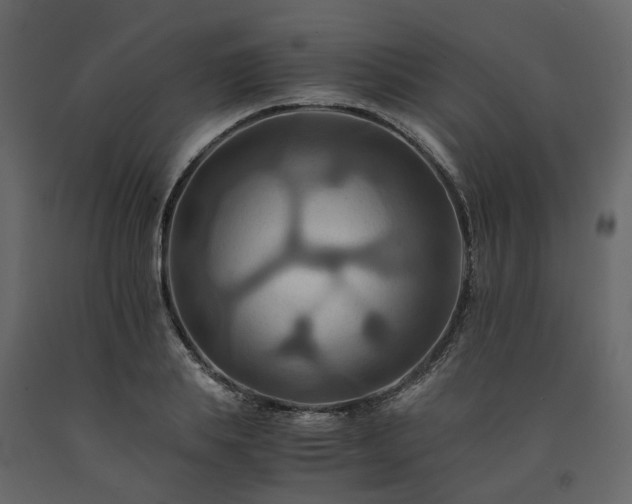 X0000091540839200708241732
