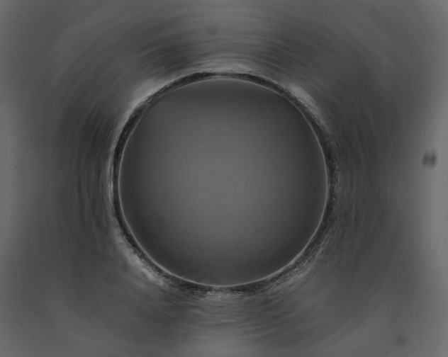 X0000091540840200708241732