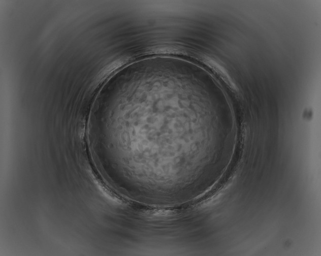 X0000091540841200708241732