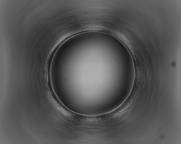 X0000091540843200708241732