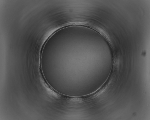X0000091540844200708241732