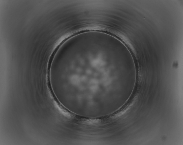 X0000091540845200708241732