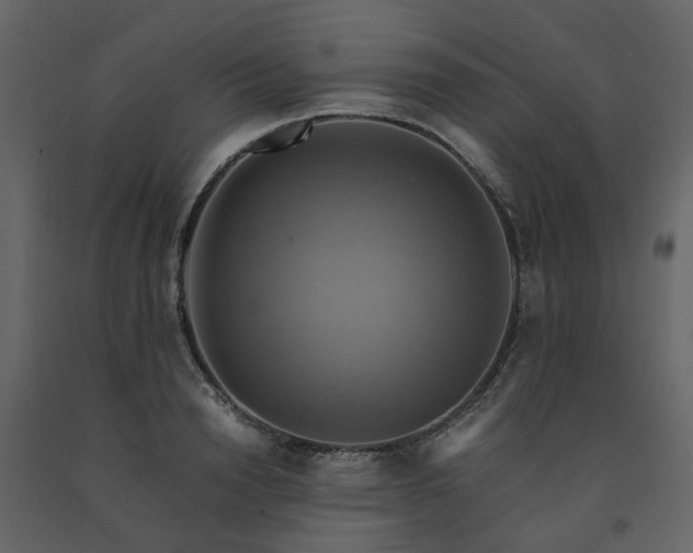 X0000091540846200708241732