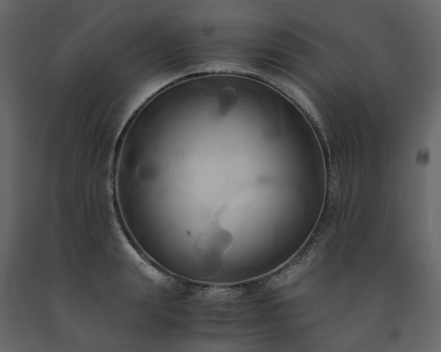 X0000091540847200708241732