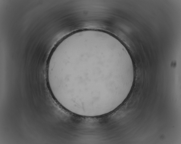 X0000091540848200708241732