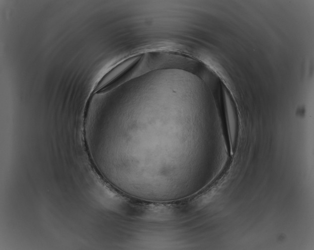 X0000091540850200708241732