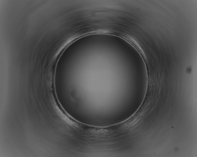 X0000091540851200708241732