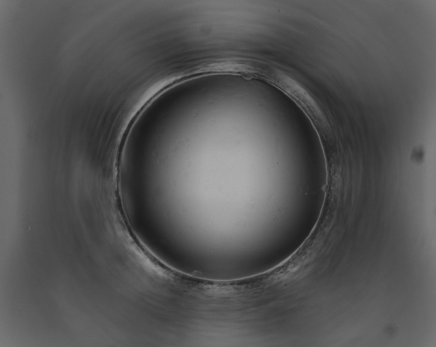 X0000091540852200708241732