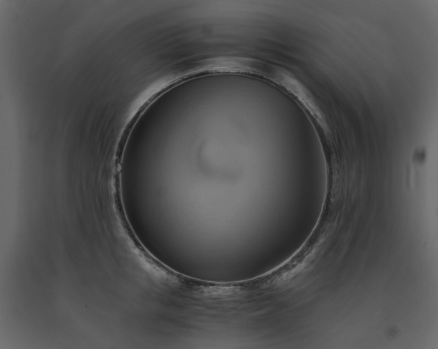 X0000091540853200708241732