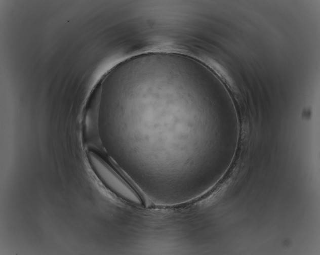 X0000091540854200708241732