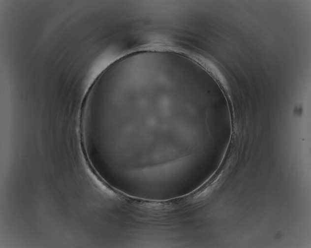 X0000091540855200708241732