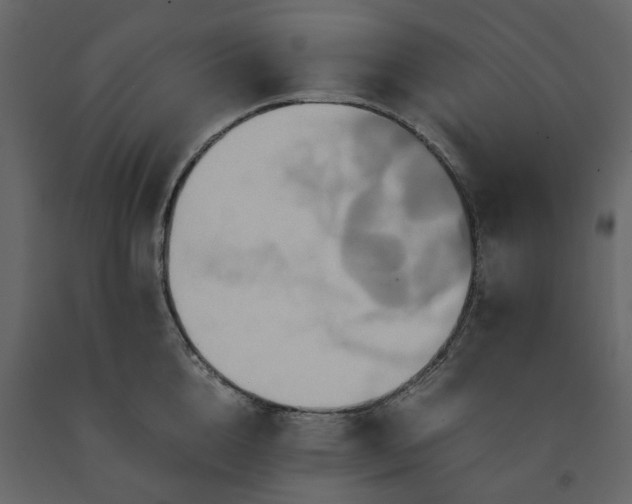 X0000091540856200708241732