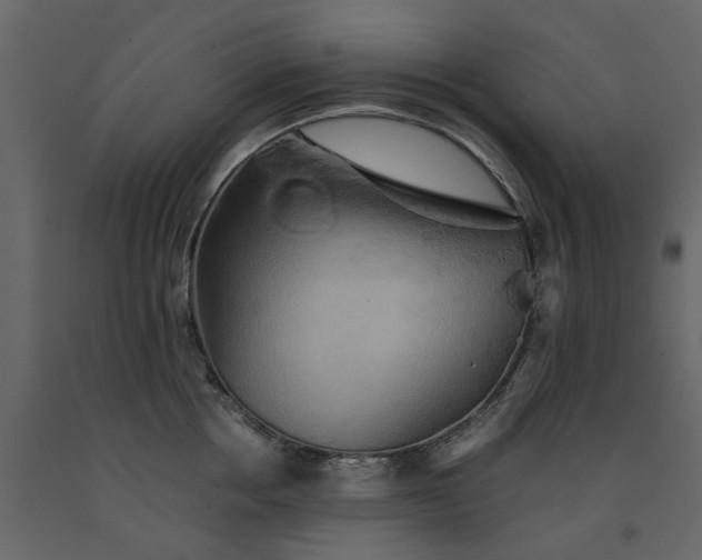 X0000091540858200708241732