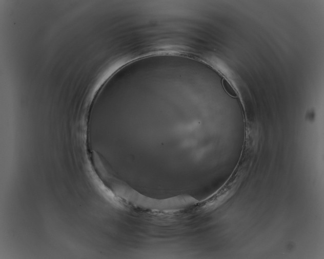X0000091540859200708241732