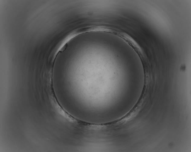 X0000091540860200708241732