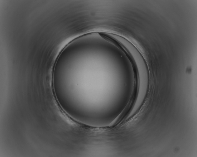 X0000091540862200708241732