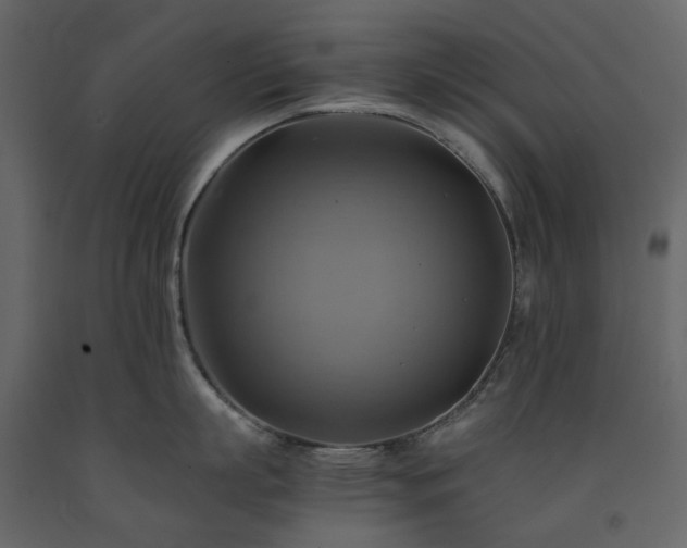X0000091540863200708241732