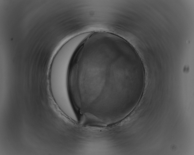 X0000091540864200708241732