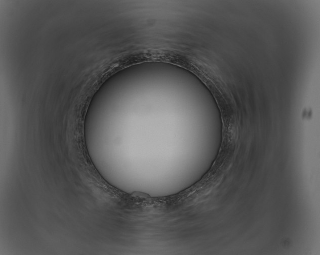 X0000091540865200708241731