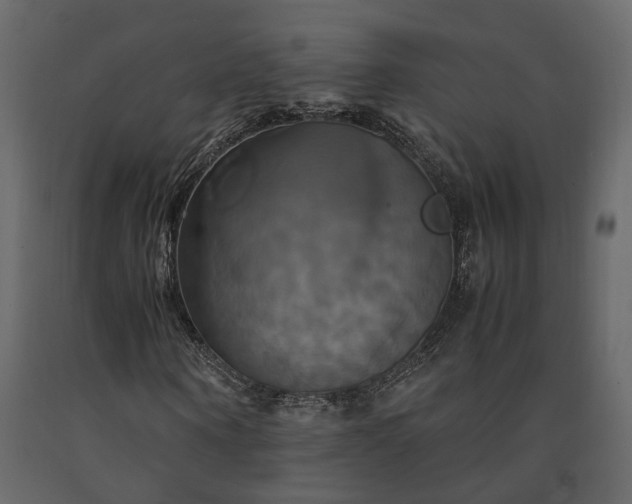X0000091540866200708241731